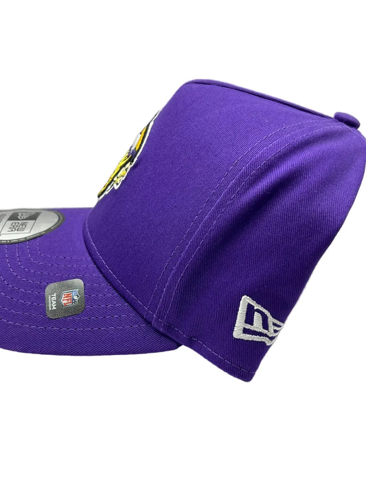Vikings Trucker