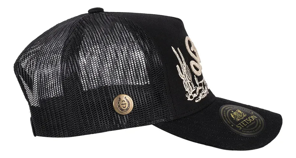 Stetson black