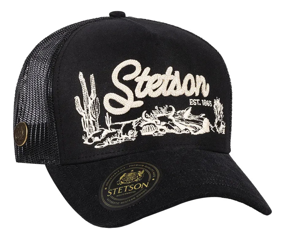 Stetson black