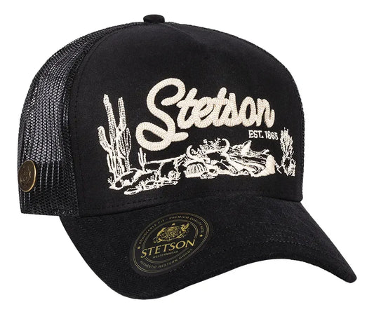 Stetson black