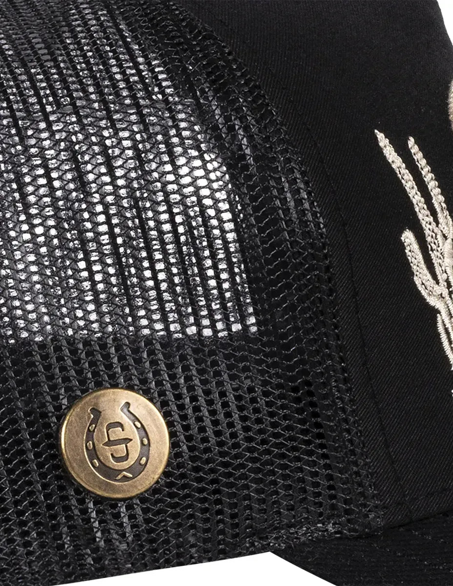 Stetson black