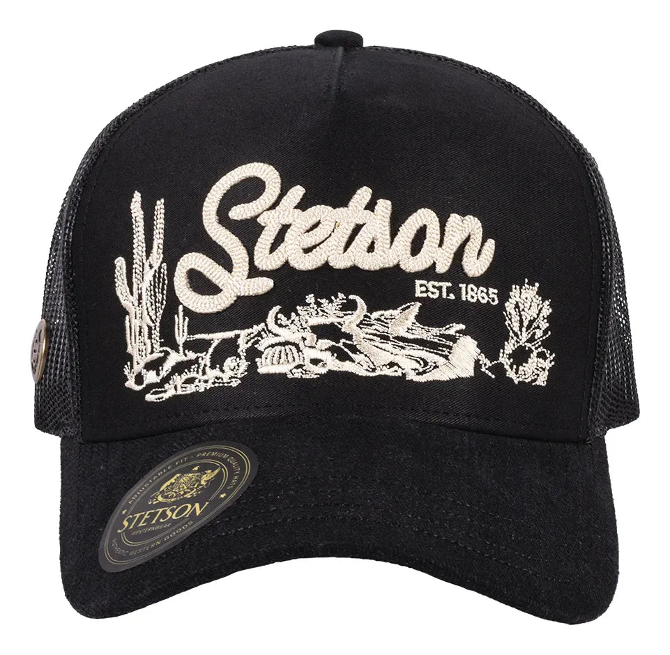 Stetson black
