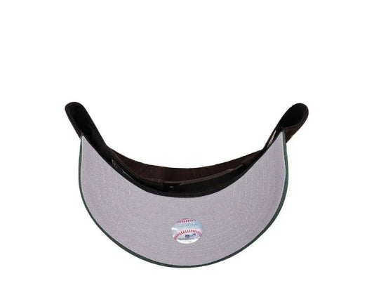 Houston Astros