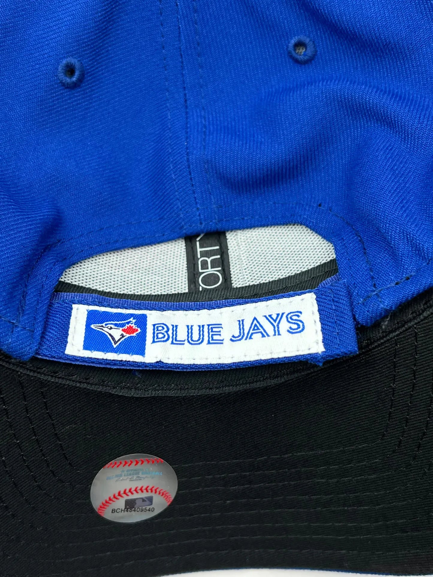 Blue jays