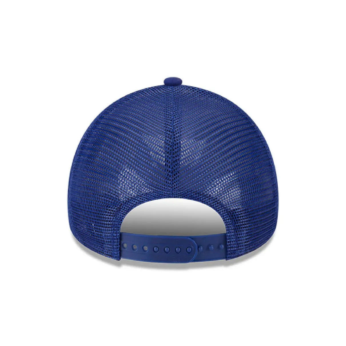 Los Angeles Dodgers Evergreen