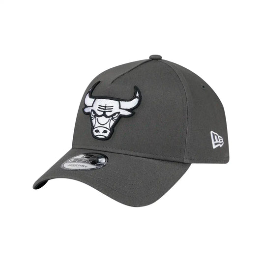 Chicago Bulls Hombre carvon polvoriento NBA